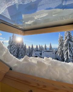 a window covered in snow with a view of snow covered trees at Apartma Idila in Zreče