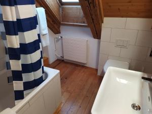 a bathroom with a tub and a sink and a shower at Apartment Meinradsberg mit Balkon in Einsiedeln