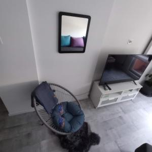 uma cadeira de vime numa sala de estar com um espelho em Chill Out Apartment em Novi Sad