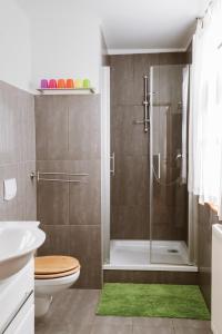 a bathroom with a shower and a toilet at Ferienwohnung an der Berliner Seenkette in Schwerin