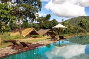 a swimming pool with chairs and an umbrella at Wild Glamping Gal Oya - Thema Collection in Galgamuwa