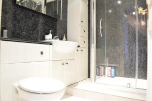 Spacious and Stylish 1 Bedroom Flat near Chelsea