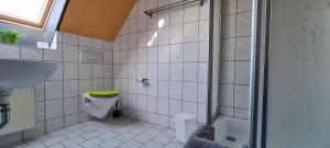 un bagno con wc, lavandino e doccia di Harz Hostel a Wernigerode Altre 27 foto