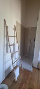 a bathroom with a ladder next to a shower at Casa da Ferreirinha in Faldejãis