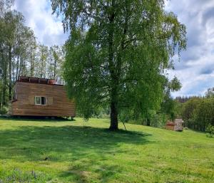 a wooden cabin in a field with a tree at Tiny des Rêves in Beulotte-Saint-Laurent