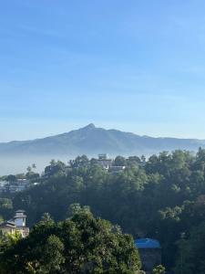 uma vista para uma floresta com montanhas ao fundo em Hansons Homestay em Kandy