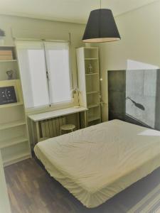 維多利亞的住宿－Vive Vitoria Apartamento con jardín，一间卧室配有一张床、一张书桌和一个窗户。