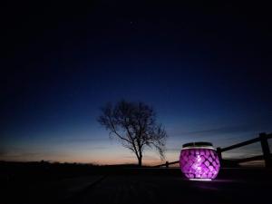 a purple pot sitting next to a fence with a tree at Luxury cottage with private INDOOR hot tub+woodlands in Llanfyrnach