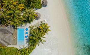 Bazén v ubytování Anantara Dhigu Maldives Resort nebo v jeho okolí