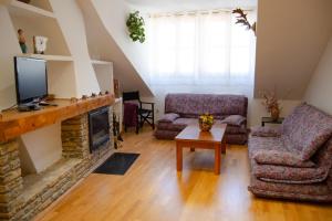 a living room with a couch and a fireplace at Apartamento Centrico con Parking in Rialp