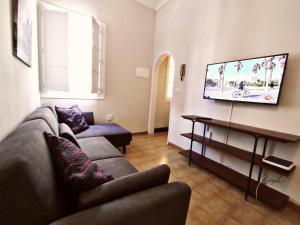 sala de estar con sofá y TV de pantalla plana en Apartamento Carrillo 1 La Rosa, en Santa Cruz de Tenerife