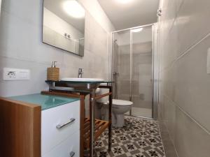 y baño con ducha, lavabo y aseo. en Apartamento Carrillo 1 La Rosa, en Santa Cruz de Tenerife