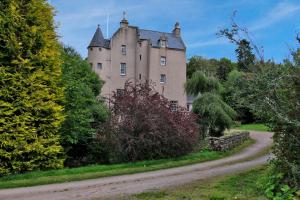 an old castle in the middle of a dirt road at Lickleyhead Castle in Insch