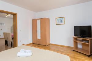 Televízia a/alebo spoločenská miestnosť v ubytovaní Apartments Darjan