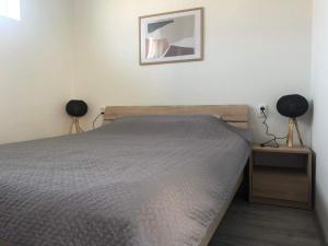 um quarto com uma cama e duas mesas de cabeceira em Apartman Arthur em Kikinda