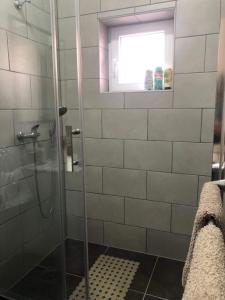 eine Dusche mit Glastür im Bad in der Unterkunft Apartman Arthur in Kikinda