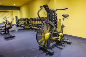 Fitness centrum a/nebo fitness zařízení v ubytování Iglika Hotel & Villas Borovets