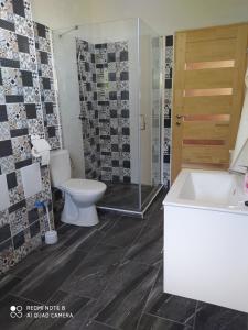 W łazience znajduje się toaleta, prysznic i umywalka. w obiekcie Napkelte Vendégház w Segedynie