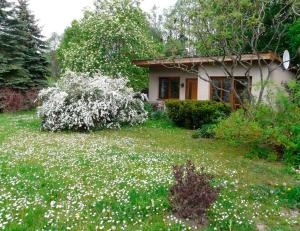a yard with white flowers in front of a house at Ferienhaus am Krakower See in Kuchelmiß
