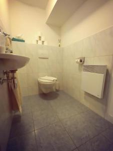 een badkamer met een toilet en een wastafel bij Pfefferhütte in Marul