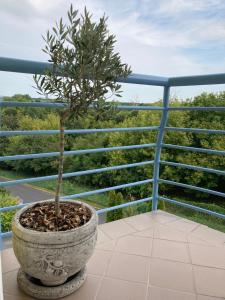 Balkón alebo terasa v ubytovaní Libellula Apartman Hévíz