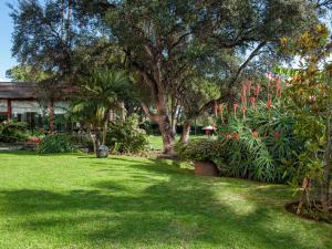 Um jardim em Hotel Don Pepe Gran Meliá