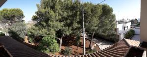 Κήπος έξω από το VILLA MIRABELLE , Torresangiovanni Marina di Ugento (LE)