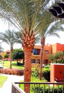 a group of palm trees in front of a building at Апартаменты в Хургаде, Stella Makadi in Hurghada