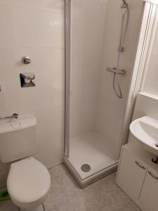 a bathroom with a shower and a toilet and a sink at Apartment Homburg Uni-Nähe in Homburg