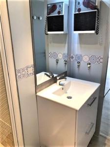 uma casa de banho com um lavatório e um espelho em Studio indépendant avec entrée privée em Saint-Jean-de-Muzols