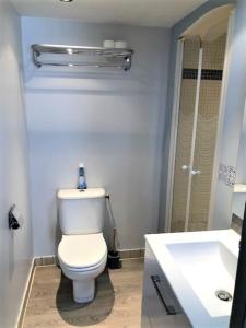 uma casa de banho com um WC branco e um lavatório. em Studio indépendant avec entrée privée em Saint-Jean-de-Muzols