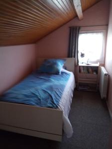 ein Schlafzimmer mit einem Bett mit blauer Decke und einem Fenster in der Unterkunft chez Doris et Alain in Lannemezan