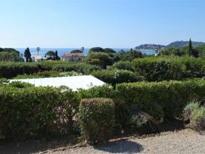a view of a garden with trees and bushes at Apartment Riva Bella-1 by Interhome in Cavalaire-sur-Mer