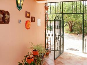 シルヴェスにあるHoliday Home Monte Meco - Iの鉢植えの植物が植えられたパティオへとつながる開放的なドア
