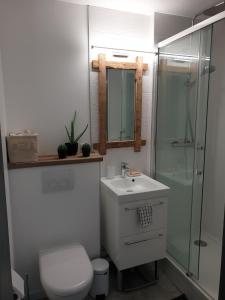 La salle de bains est pourvue de toilettes, d'un lavabo et d'une douche. dans l'établissement Appartement Front de mer - Vue Ocean, à Lacanau-Océan