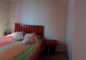 um quarto com uma cama com duas almofadas em Santiago Centro em Santiago