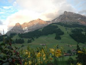 a green field with mountains in the background with flowers at Apartment Bärgchutzli 1- Stock by Interhome in Adelboden