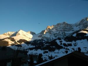 Gallery image of Apartment Bärgchutzli Parterre by Interhome in Adelboden