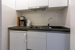 Kuchyň nebo kuchyňský kout v ubytování Apartments Vila Antula