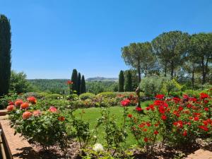 Billede fra billedgalleriet på Appartamento L'olivo - Ripabella i Ulignano