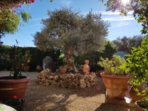 Vonkajšia záhrada v ubytovaní Luxury Villa Costa Blanca Sea View