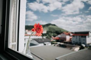 Fotografie z fotogalerie ubytování E&B Apartments Korb v destinaci Korb