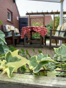 Χώρος καθιστικού στο Ferienwohnung Daddeldu