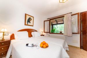 Gallery image of Finca Hotel Rural Predio Son Serra in Can Picafort