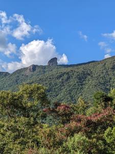 uma vista para uma montanha com árvores no primeiro plano em Solar Picu Eco-hospedaria em Itamonte