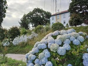 Ảnh trong thư viện ảnh của A Casa da Toura ở Puentedeume +78 ảnh