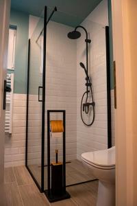 łazienka z prysznicem i toaletą w obiekcie Reghin Guest House w mieście Reghin