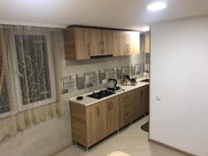 Kuchyň nebo kuchyňský kout v ubytování Guesthouse BATU