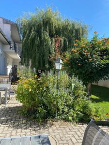 einen Garten mit Blumen und einem Baum im Hof in der Unterkunft Gästehaus & Weingut Klein in Illmitz