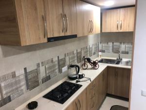 Kuchyň nebo kuchyňský kout v ubytování Guesthouse BATU